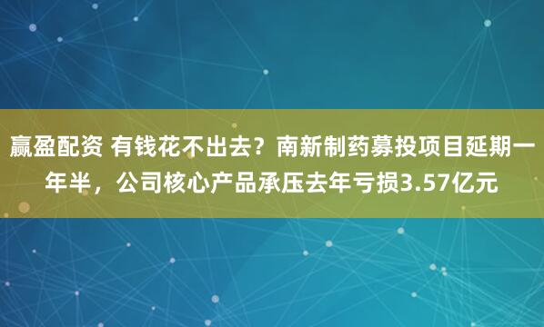 赢盈配资 有钱花不出去？南新制药募投项目延期一年半，公司核心产品承压去年亏损3.57亿元