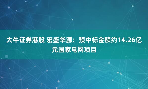 大牛证券港股 宏盛华源：预中标金额约14.26亿元国家电网项目