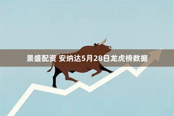 景盛配资 安纳达5月28日龙虎榜数据