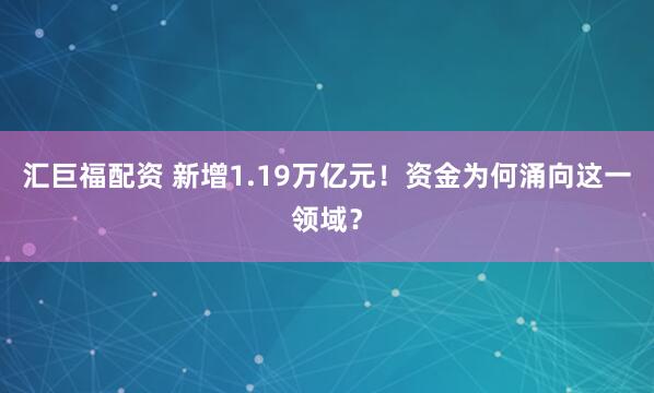 汇巨福配资 新增1.19万亿元！资金为何涌向这一领域？