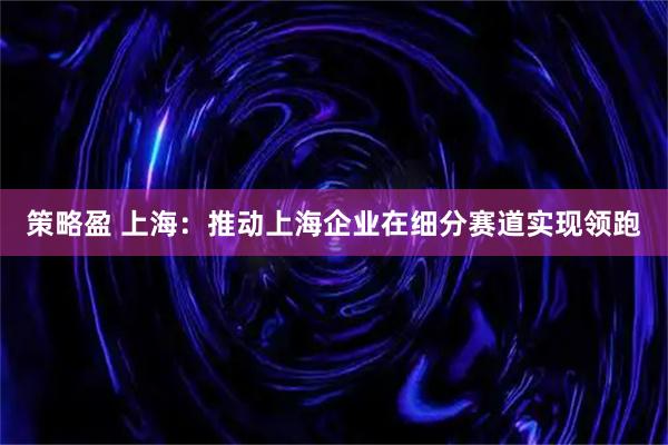 策略盈 上海：推动上海企业在细分赛道实现领跑