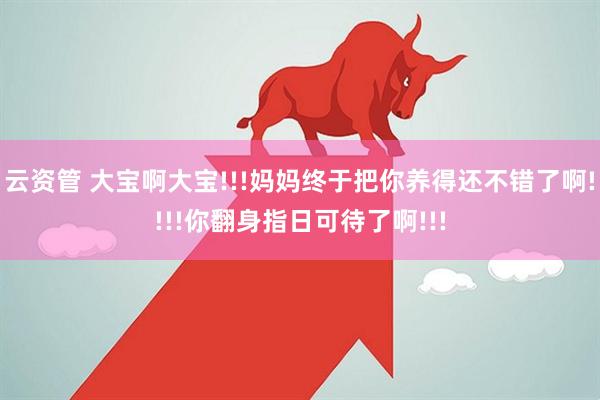 云资管 大宝啊大宝!!!妈妈终于把你养得还不错了啊!!!!你翻身指日可待了啊!!!