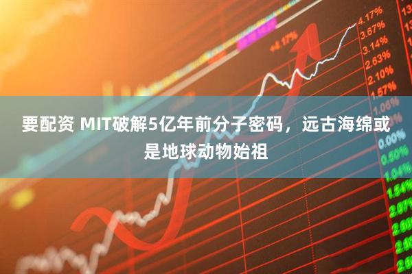 要配资 MIT破解5亿年前分子密码，远古海绵或是地球动物始祖