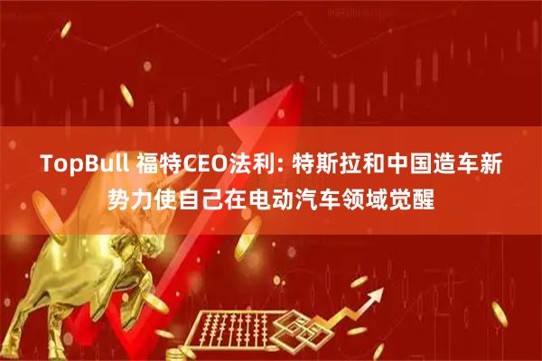 TopBull 福特CEO法利: 特斯拉和中国造车新势力使自己在电动汽车领域觉醒