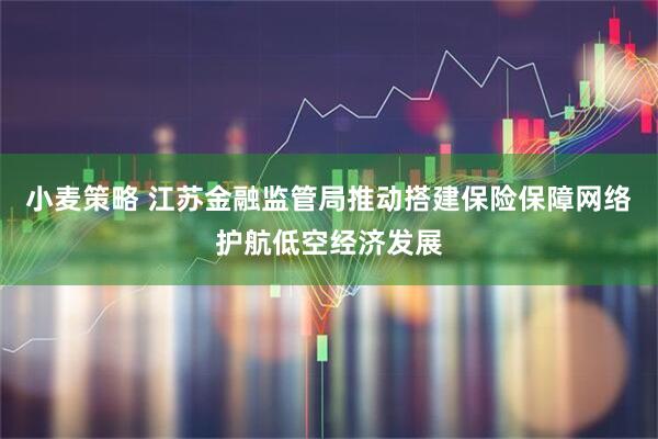 小麦策略 江苏金融监管局推动搭建保险保障网络护航低空经济发展