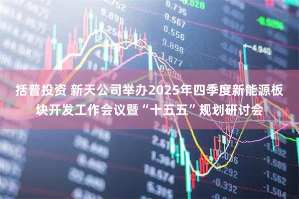 括普投资 新天公司举办2025年四季度新能源板块开发工作会议暨“十五五”规划研讨会