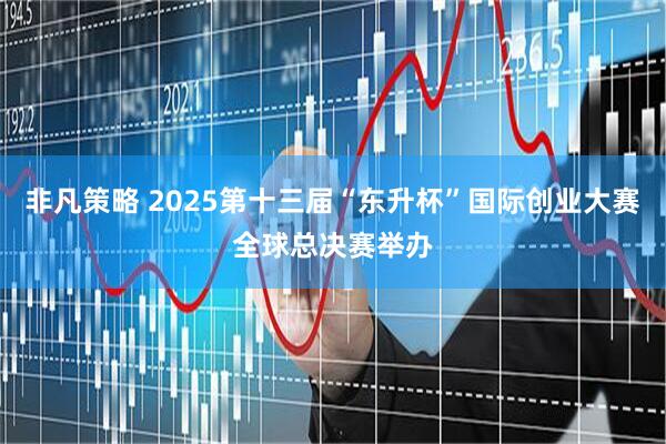 非凡策略 2025第十三届“东升杯”国际创业大赛全球总决赛举办