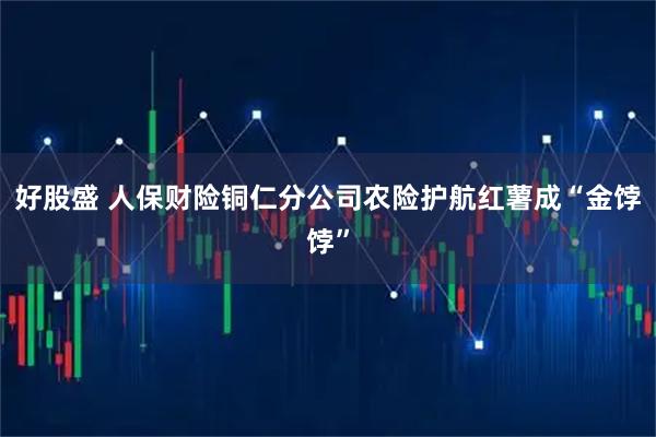 好股盛 人保财险铜仁分公司农险护航红薯成“金饽饽”